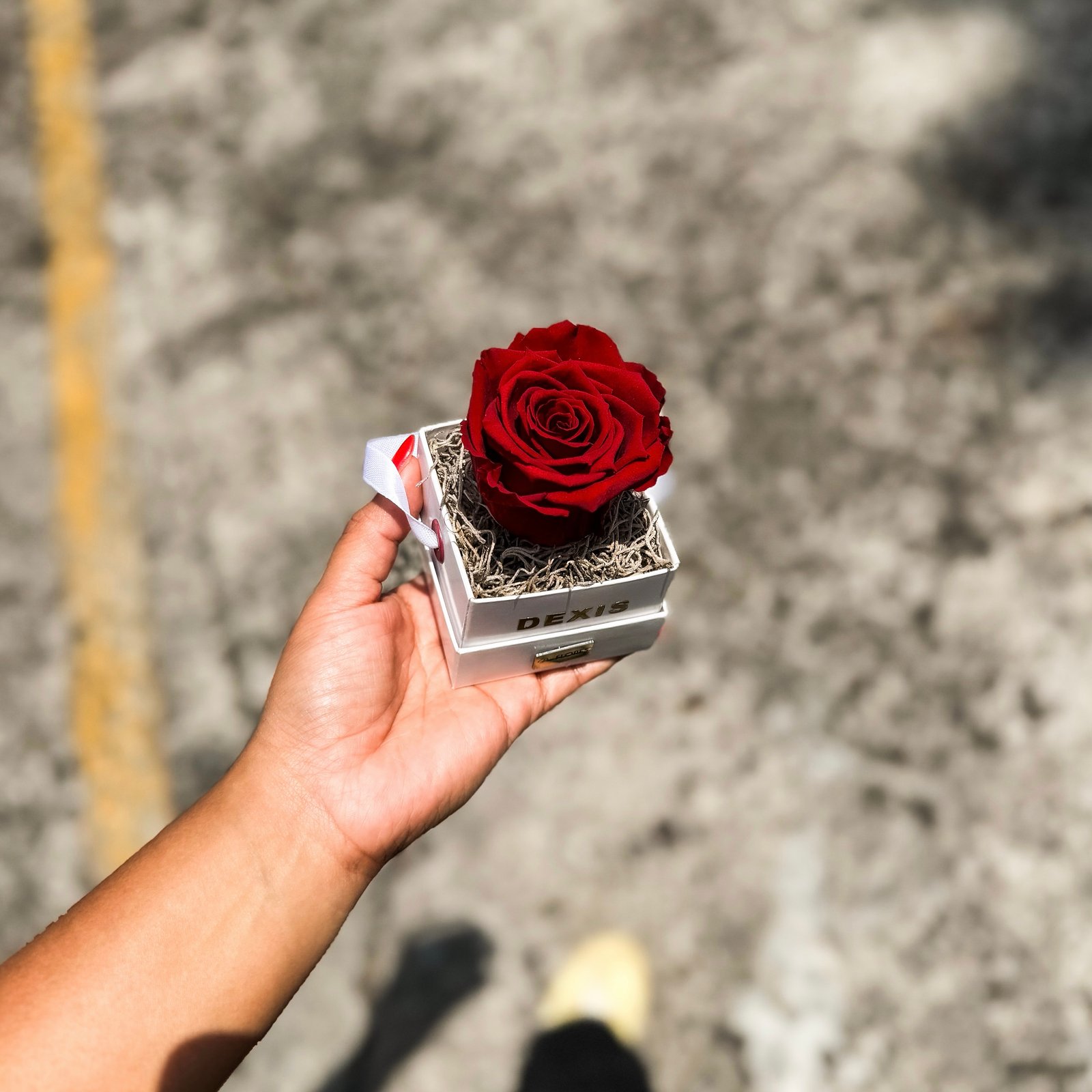 Rosa preservada