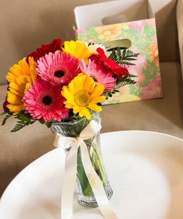 Gerberas surtidas