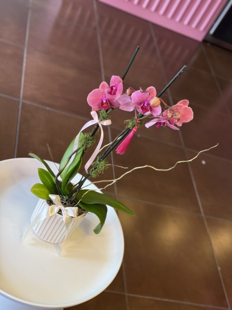 thumbnail_image0 (1)